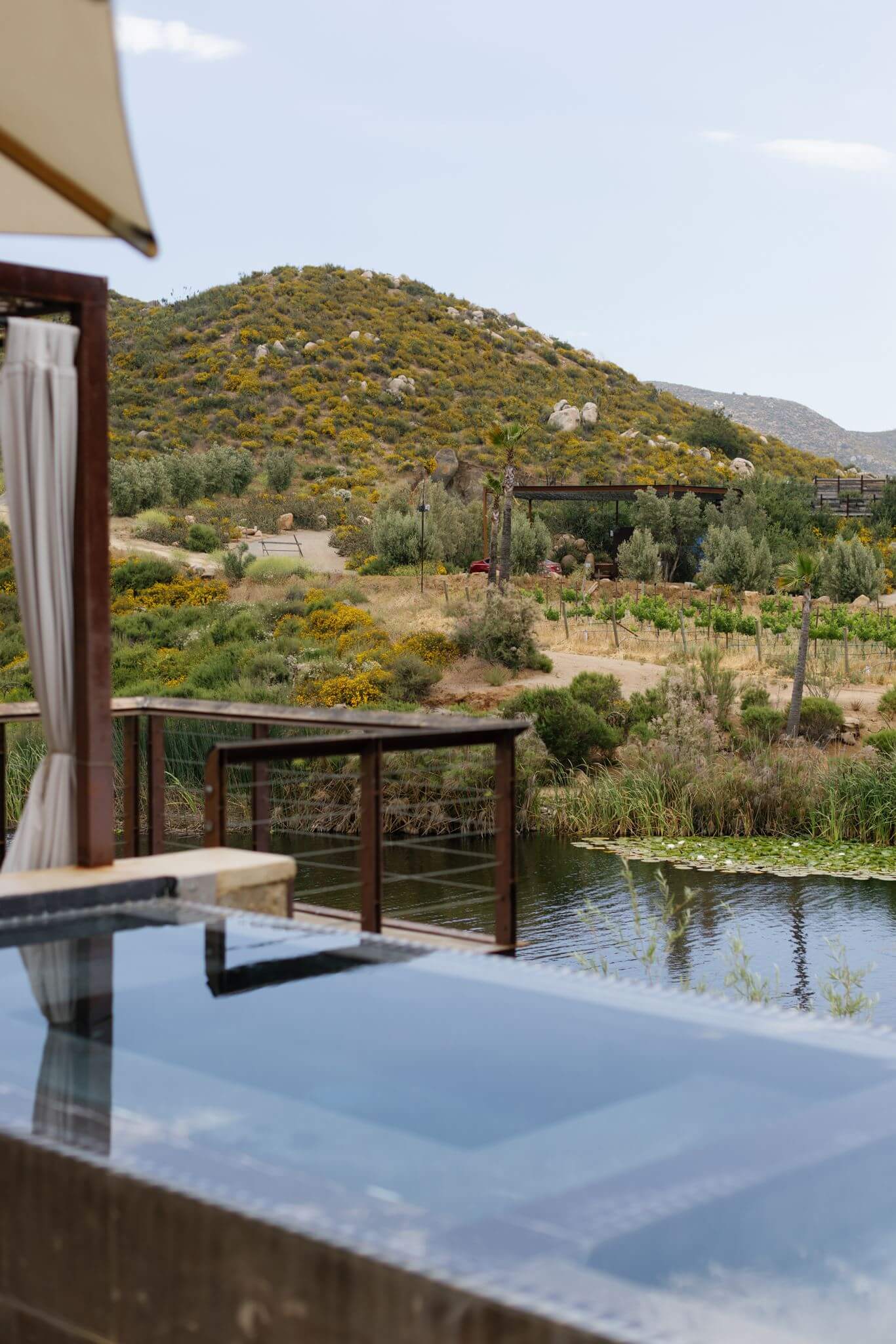 Private infinity pool overlooking gardens and mountain scenery at Bruma Valle de Guadalupe.